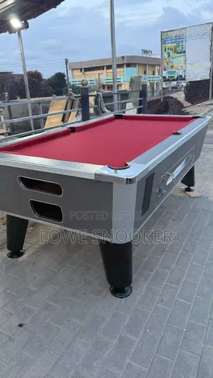 Standard Pool Table From Lowe Pools (Germany)