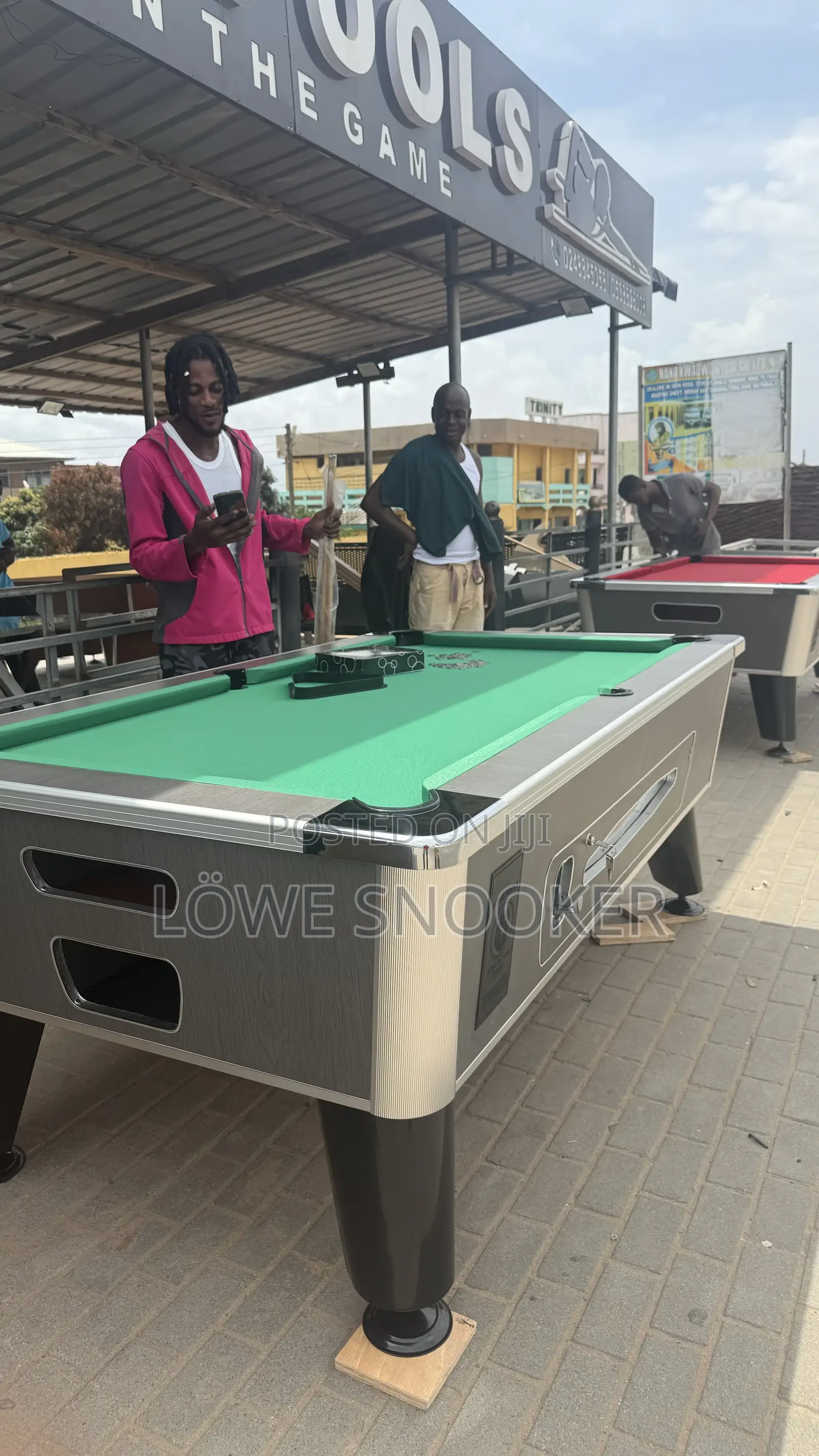 Standard Pool Table From Lowe Pools (Germany)