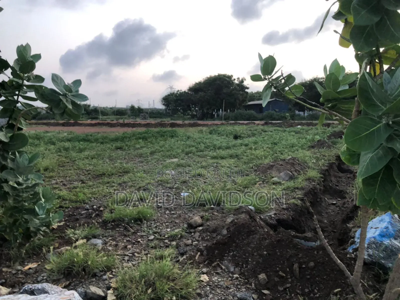 2 Plots of Land Tema