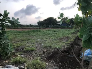 2 Plots of Land Tema