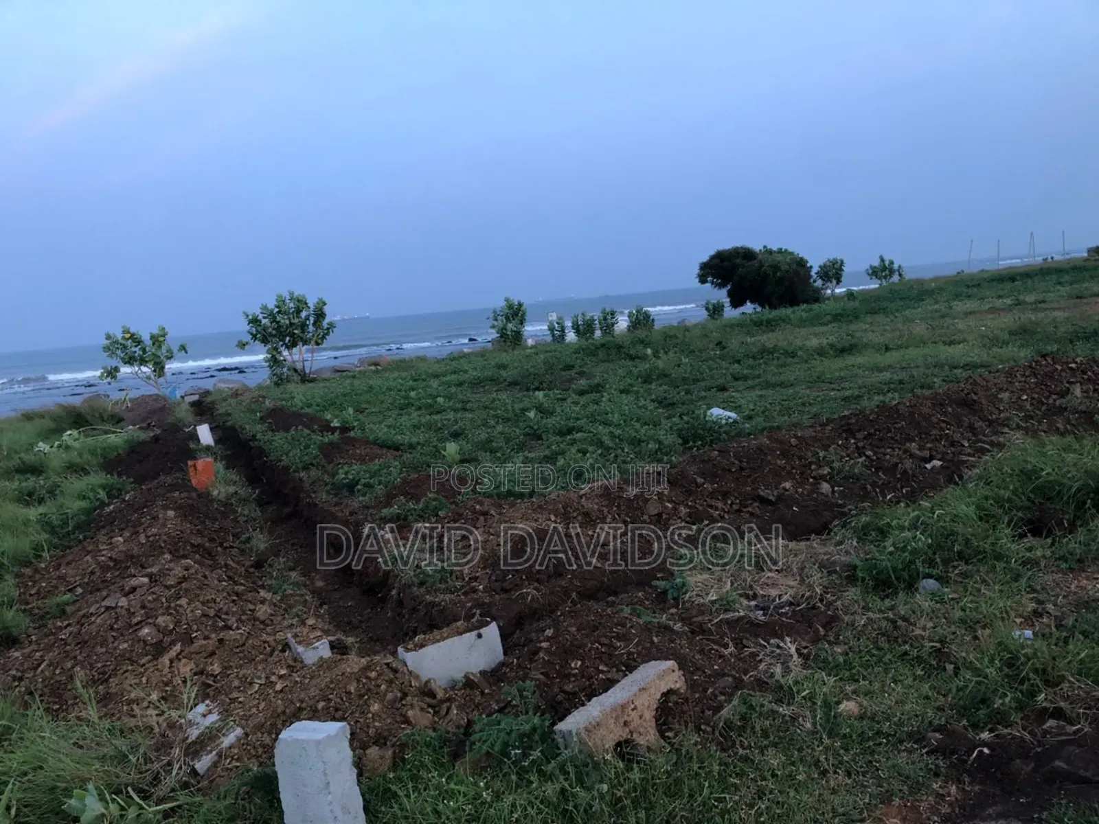 2 Plots of Land Tema