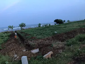 2 Plots of Land Tema