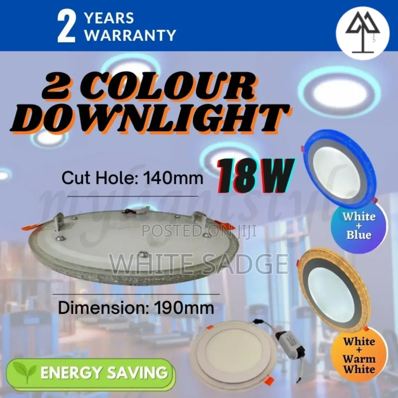Two Color Conduit Ceiling Light