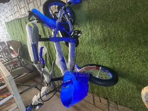 Size 12 Bike