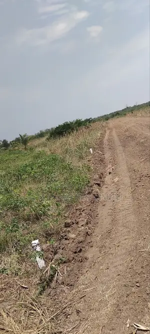 Panfokrom Titled Land For Sale