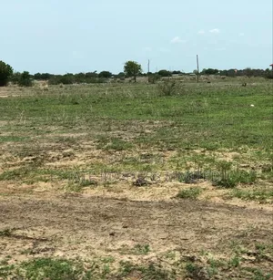 Own Your Dream Land Today, "Tsopoli "