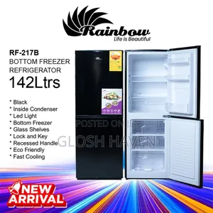 Bottom Freezer Fridge