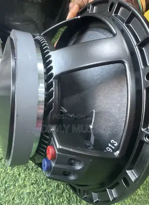 Photo - Single Magnet/ 12-Inches Speaker/Jac