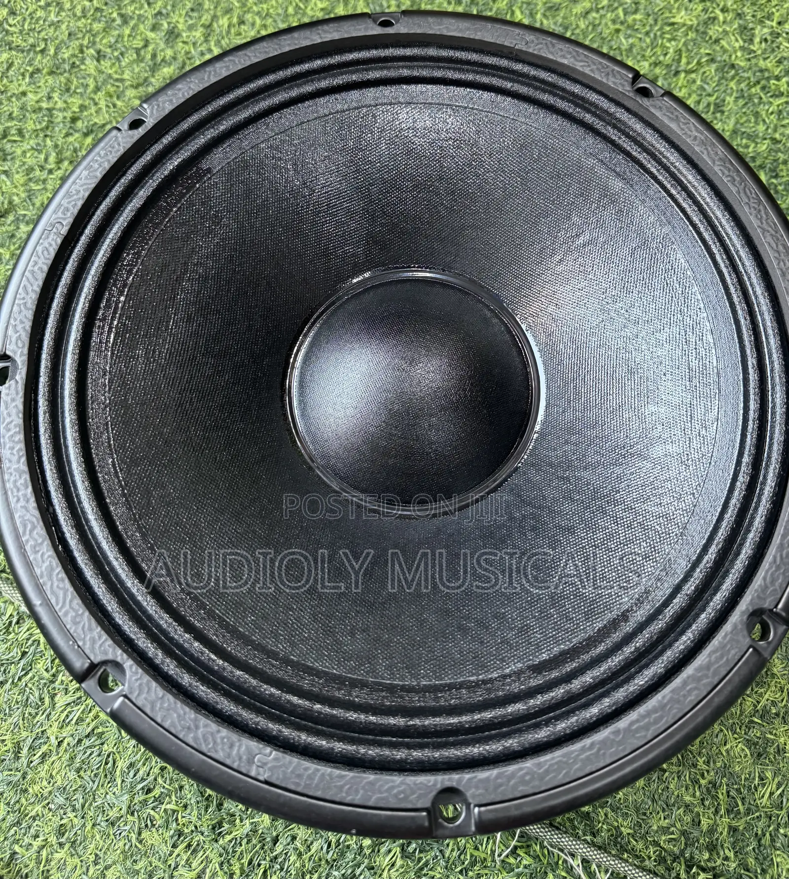 Single Magnet/ 12-Inches Speaker/Jac