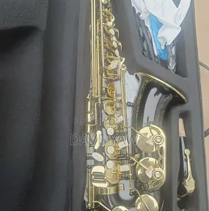 Alto Saxophone