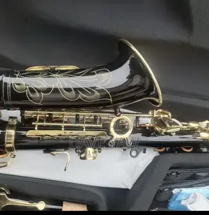 Alto Saxophone
