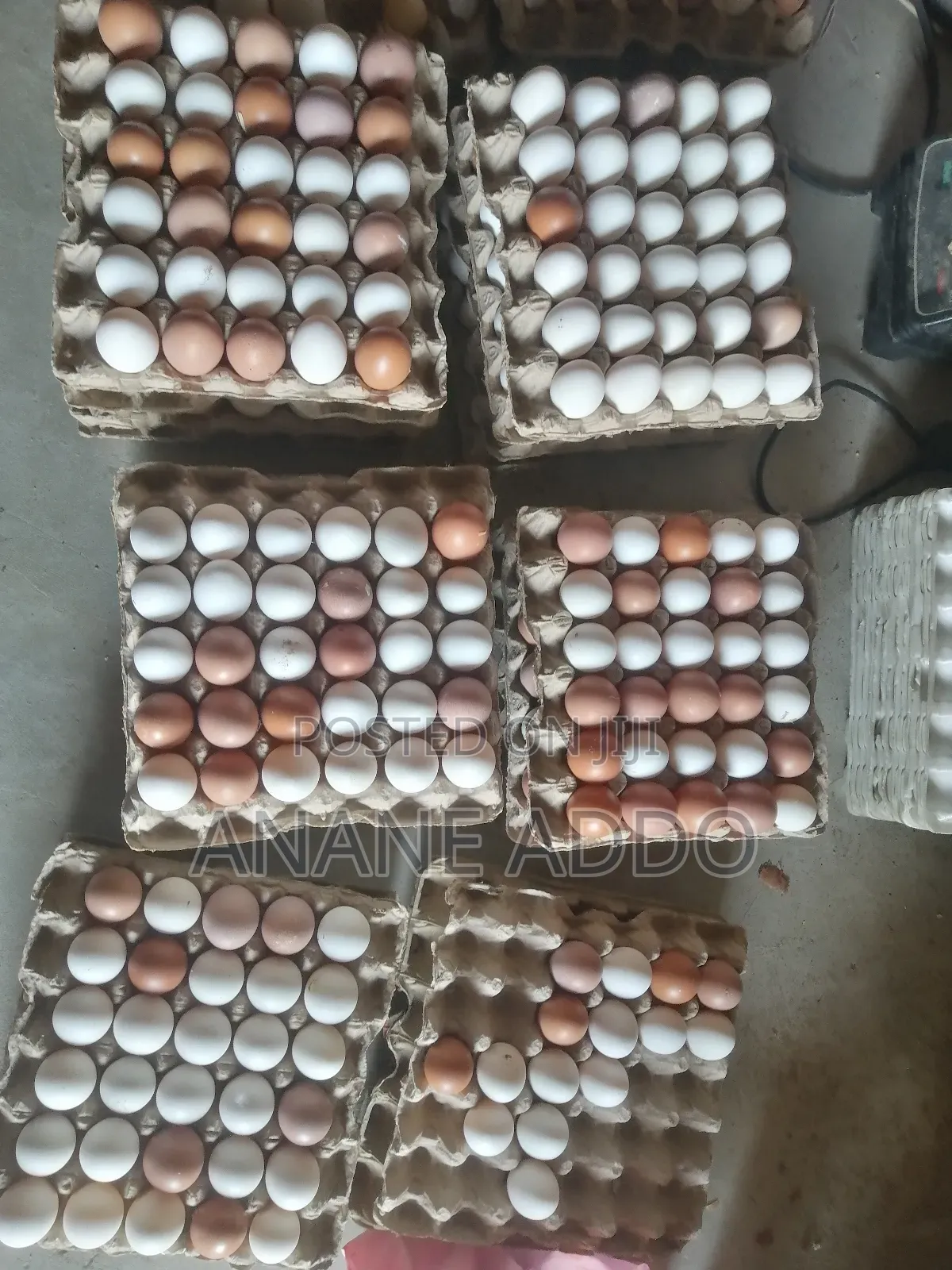 Quality Eggs for Sell Fresh From Farm