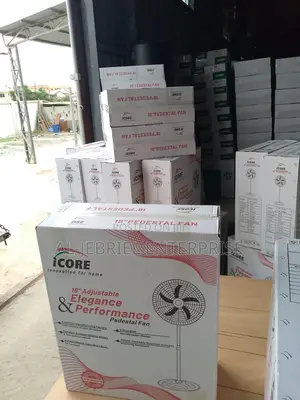 Icore 18” Standing Fan