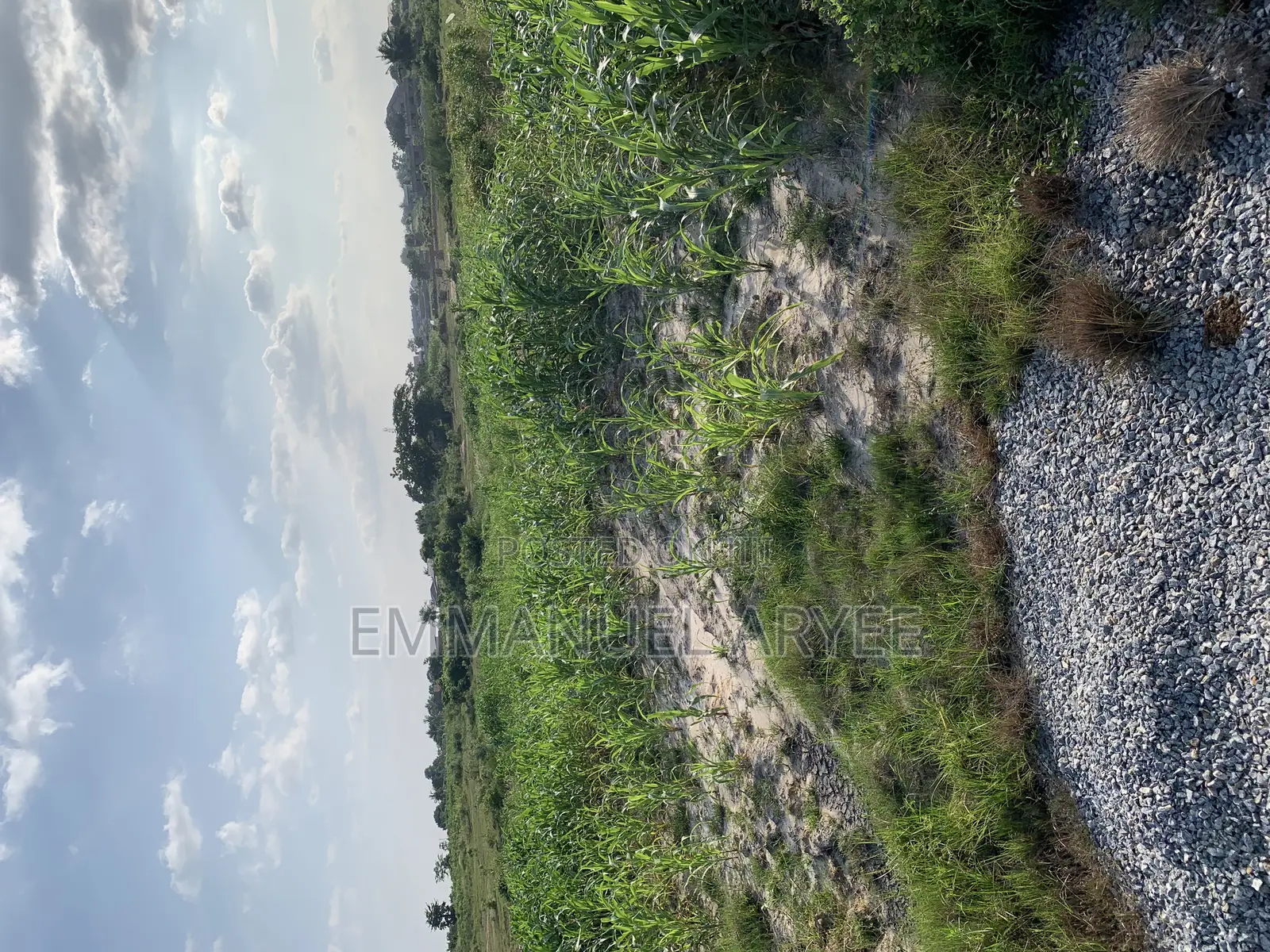 Very Developed Area Two Plot of Land for Sale