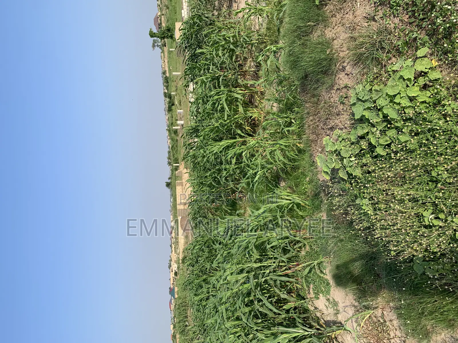Very Developed Area Two Plot of Land for Sale