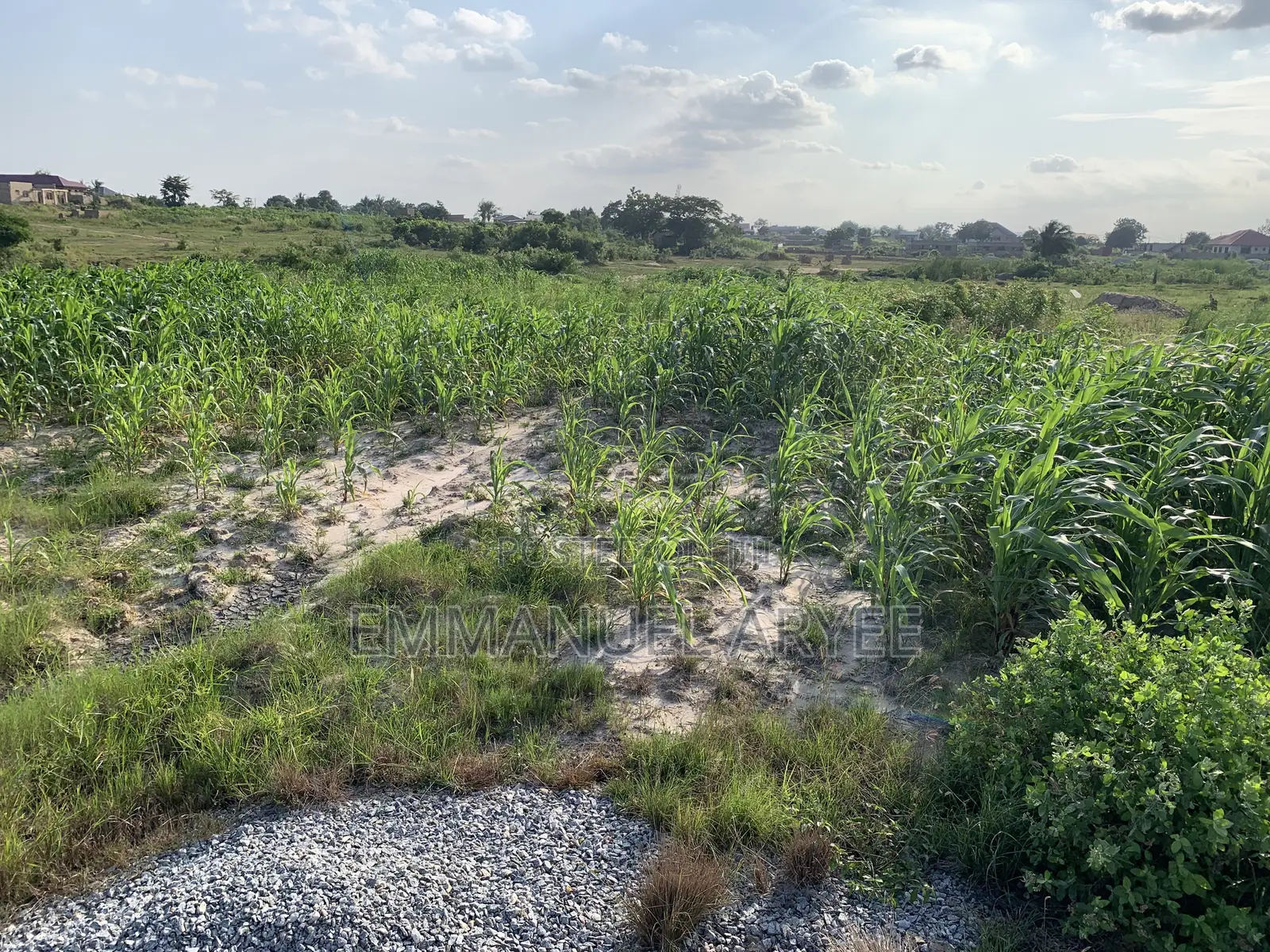 Very Developed Area Two Plot of Land for Sale