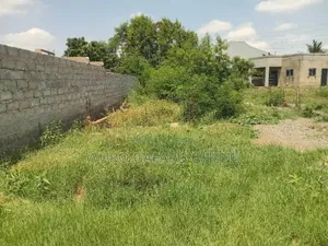 Half Plot With Chamber and Hall Foundation for Sale