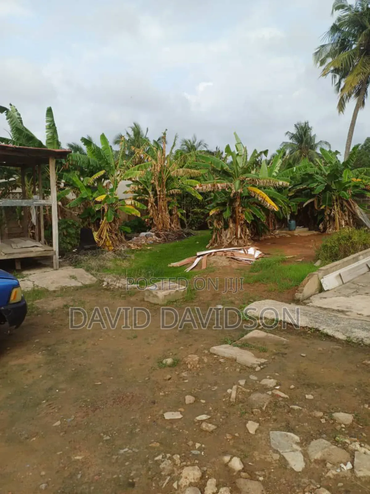 Half Plot at Achimota