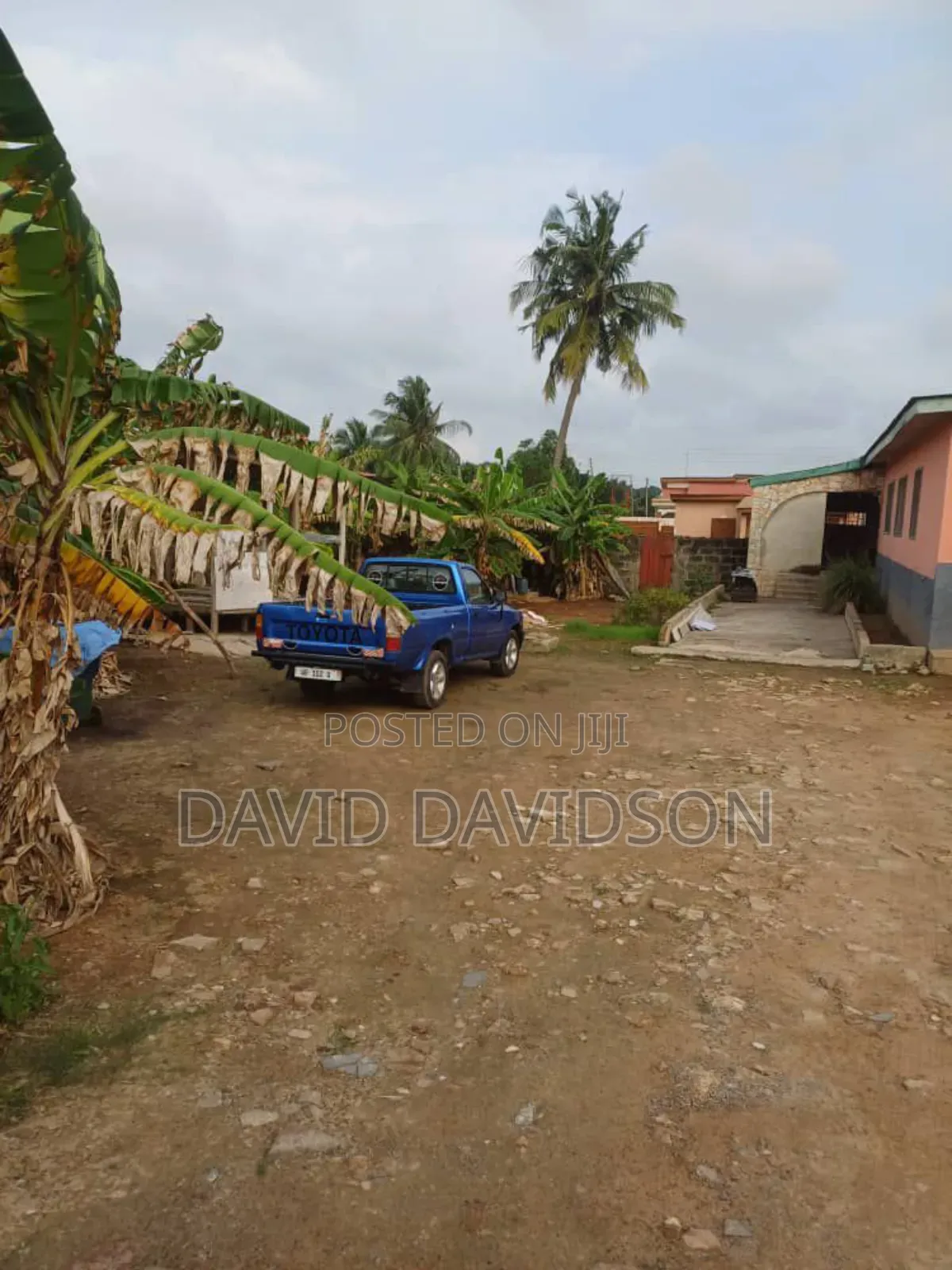 Half Plot at Achimota