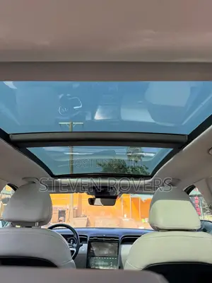 Hyundai Tucson Limited 2023 Gray