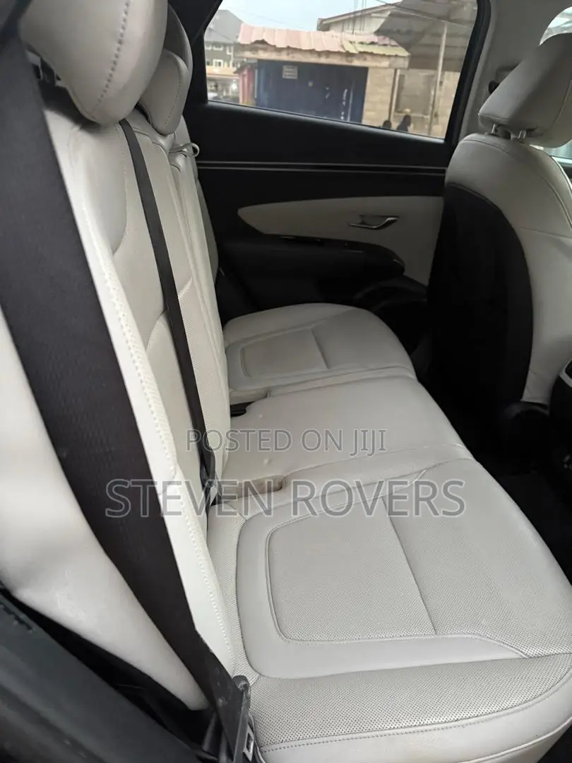 Hyundai Tucson Limited 2023 Gray