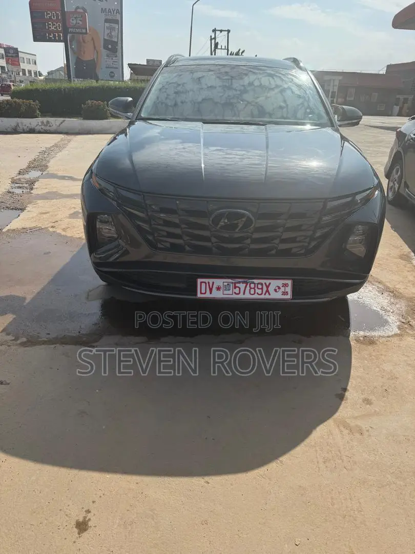 Hyundai Tucson Limited 2023 Gray
