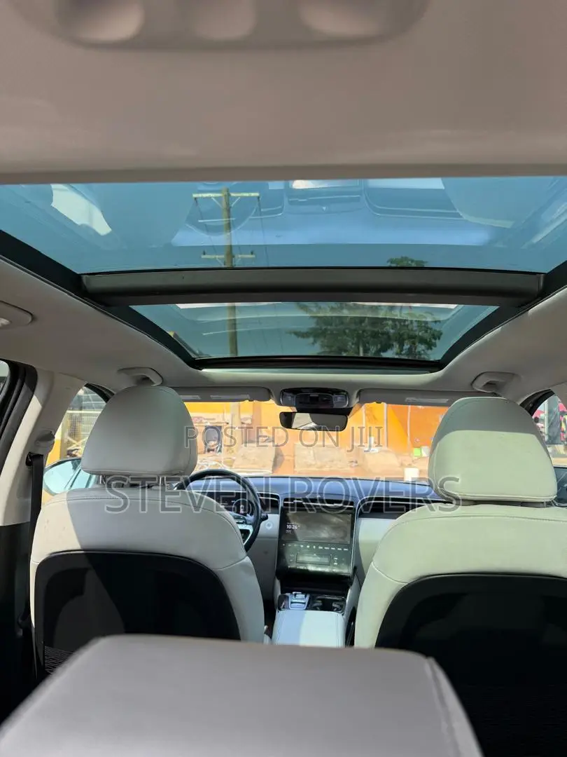 Hyundai Tucson Limited 2023 Gray
