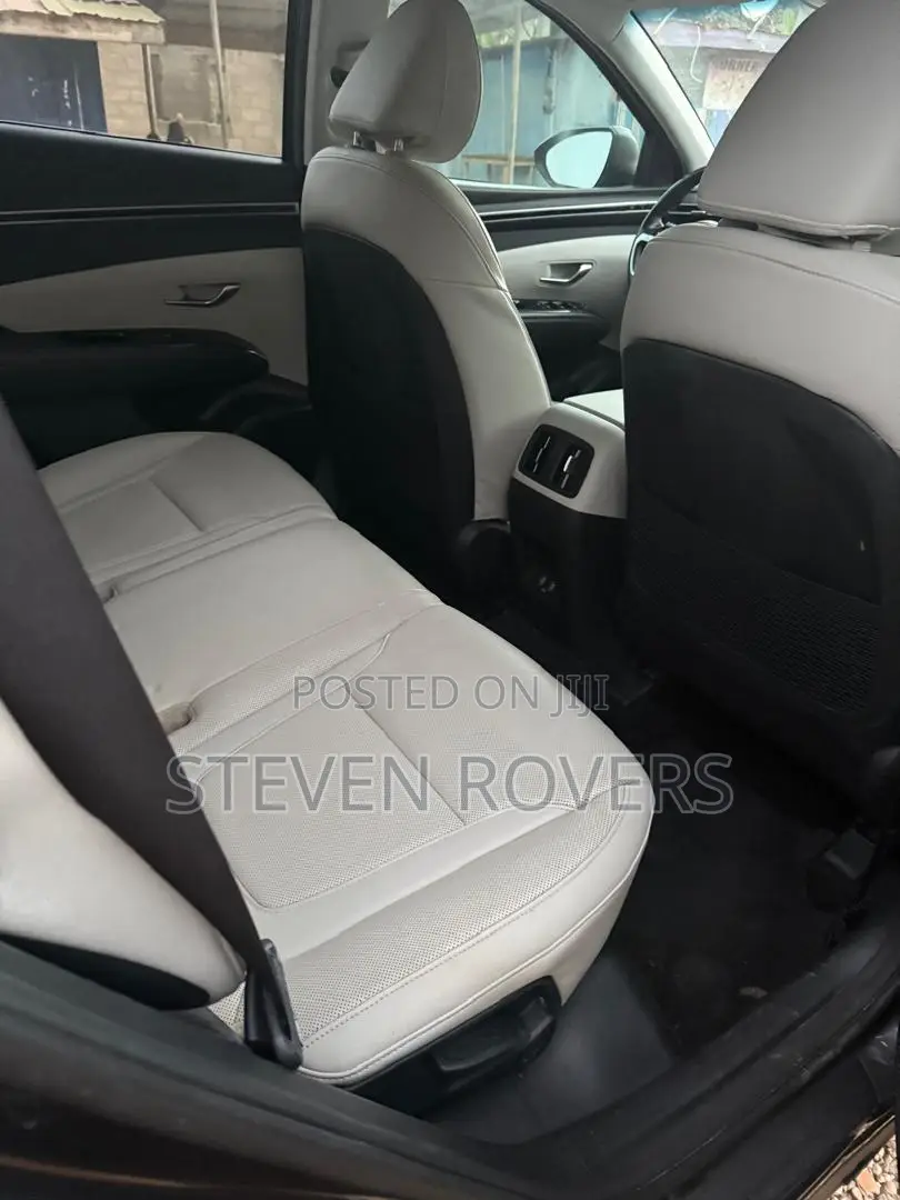 Hyundai Tucson Limited 2023 Gray