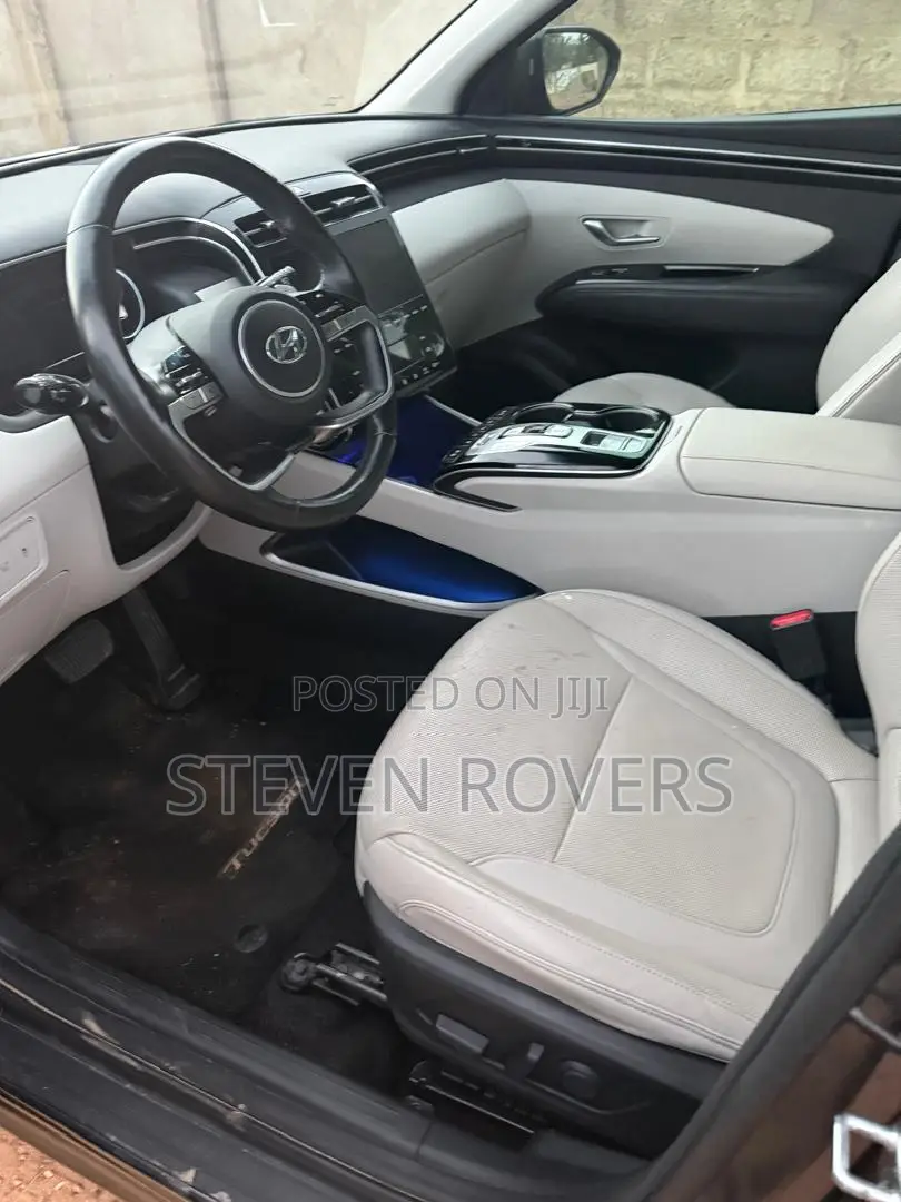 Hyundai Tucson Limited 2023 Gray