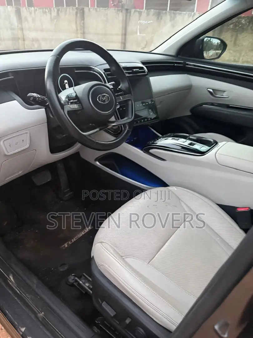 Hyundai Tucson Limited 2023 Gray