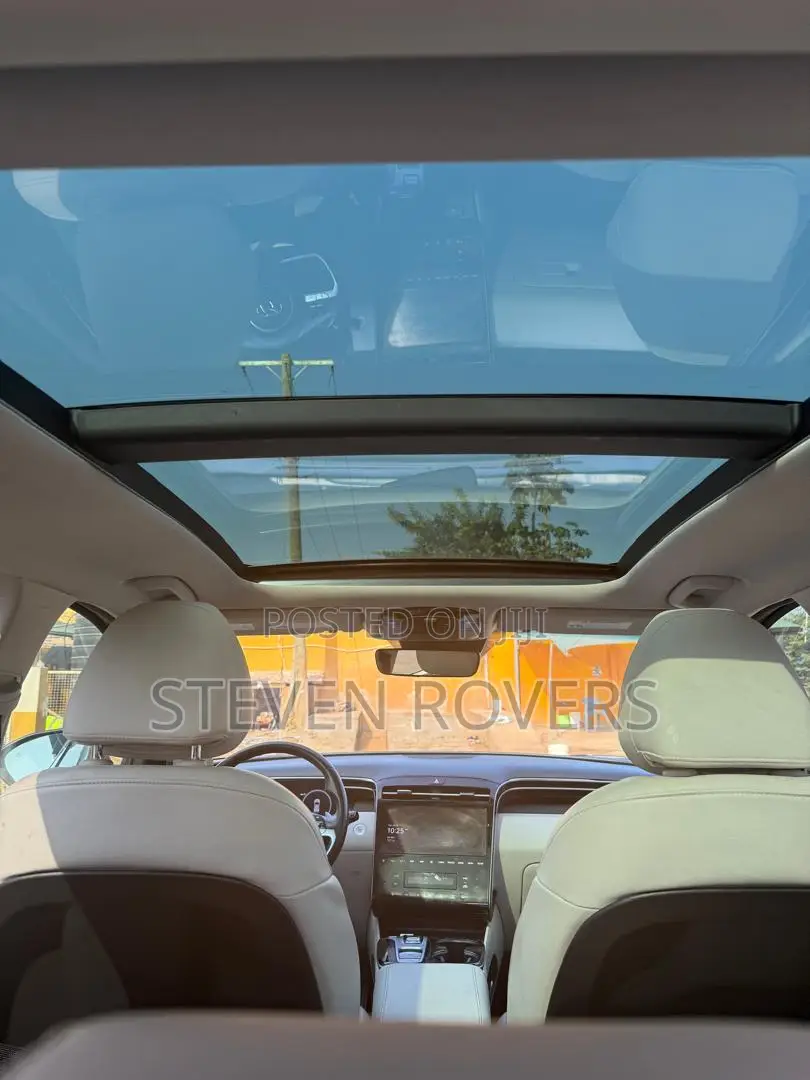 Hyundai Tucson Limited 2023 Gray