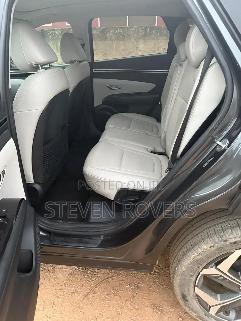 Hyundai Tucson Limited 2023 Gray