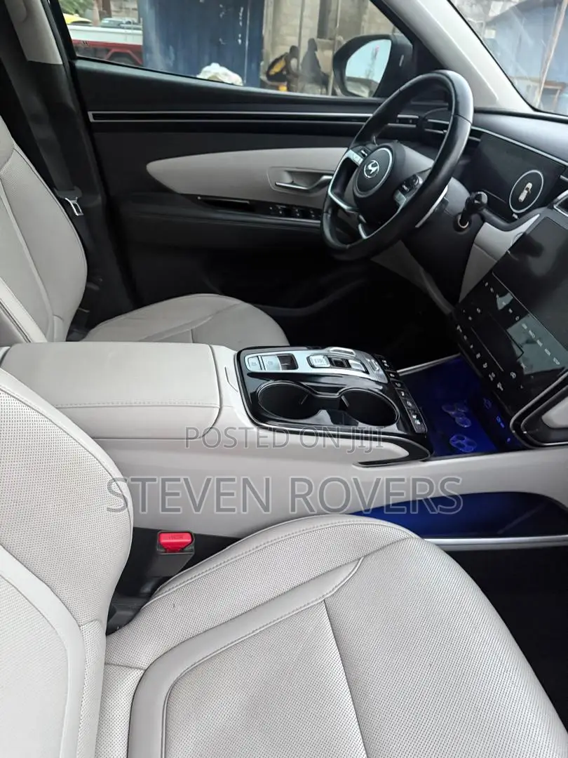 Hyundai Tucson Limited 2023 Gray