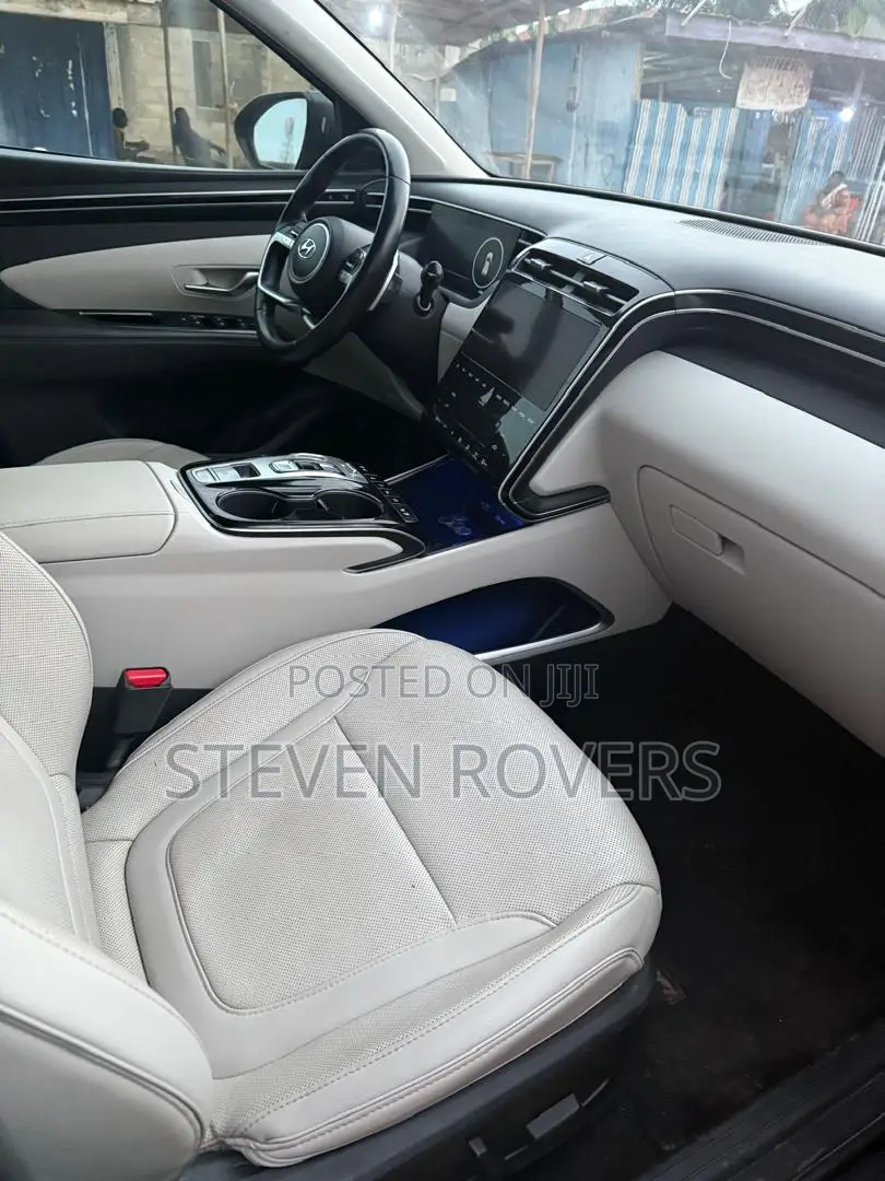 Hyundai Tucson Limited 2023 Gray
