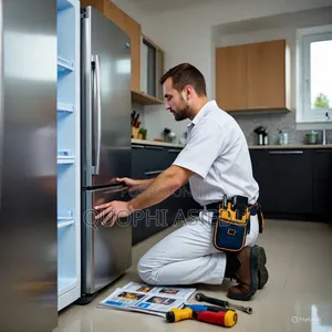 Fridge Mechanic