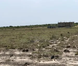 A Little Foundation for Your Success, Own a Land Today