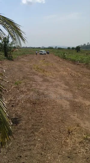 A Once In A Lifetime Land Opportunity, "Panfokrom