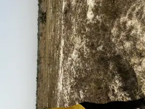 Genuine and Litigation Free Land for Sale
