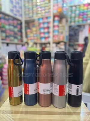 Vacuum Stainless Bottle