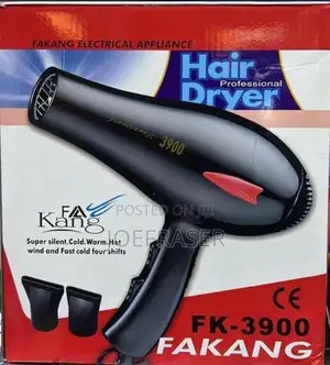 Professional Hair Dryer