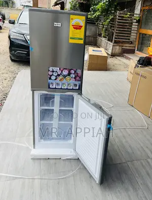 Energy Efficient Pearl Pf -217b -1a Bottom Freezer Fridge