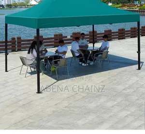 Foldable Canopy Tent (10ft )