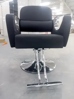 Salon Chair