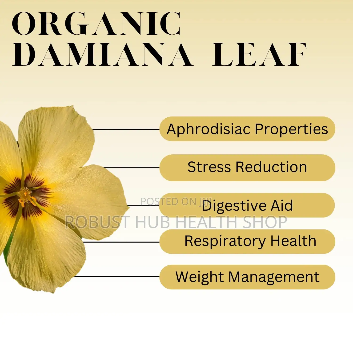Damiana for Sexual Health