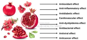 Pormegranate Juice Powder