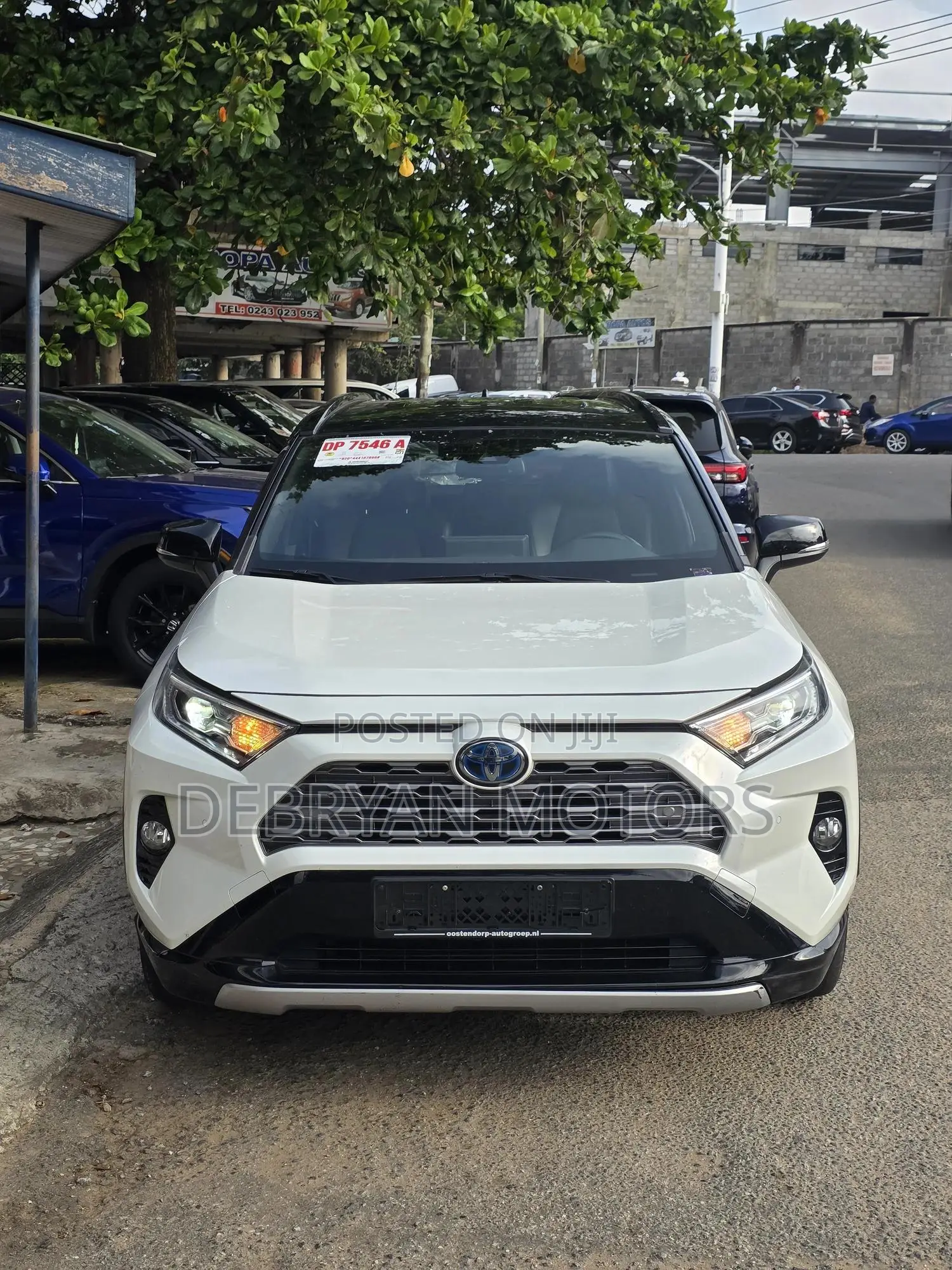 Toyota RAV4 XSE 2019 White