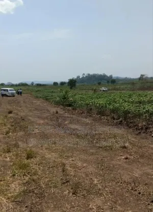 Best Value For Your Money, Estate Plots For Sale,"Panfokrom