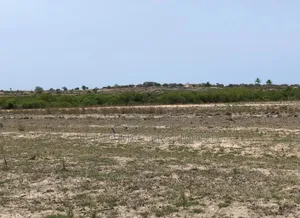 High Plot Value in an Exclusive Estate Environment,"Tsopoli