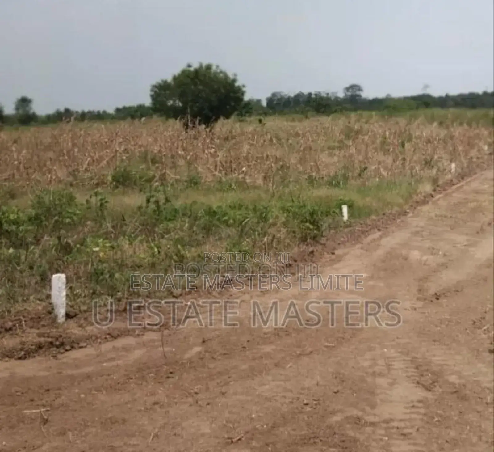 Land Bought Dream Achieved Buy A Land At Panfokrom Now