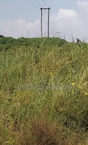 Turning Properties Into Prosperity, Buy Our Lands Now